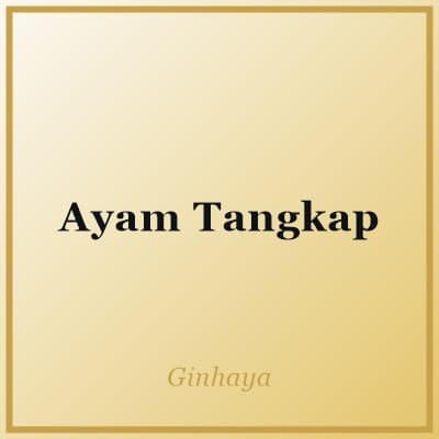 Ayam Tangkap