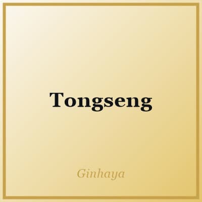 Tongseng